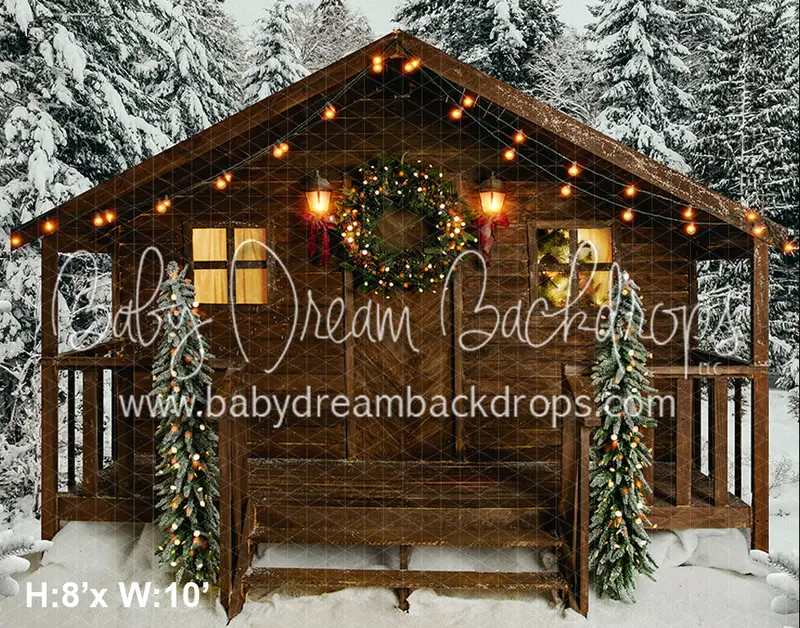 Snow Cabin (Bc) 1