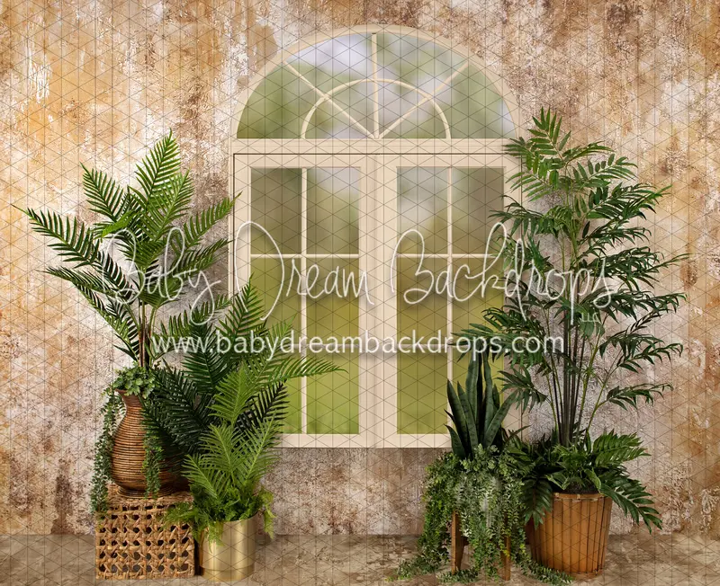 Sophisticated Spring Cream Window (Ja) 1