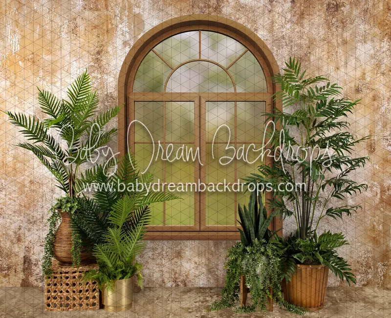 Sophisticated Spring Window (Ja) 1