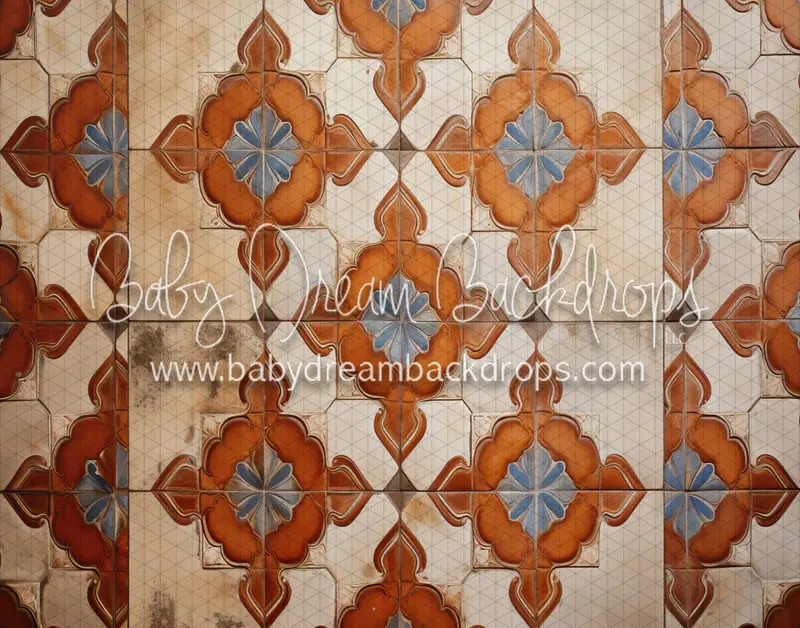 Spanish Tile Floor (Md) 1