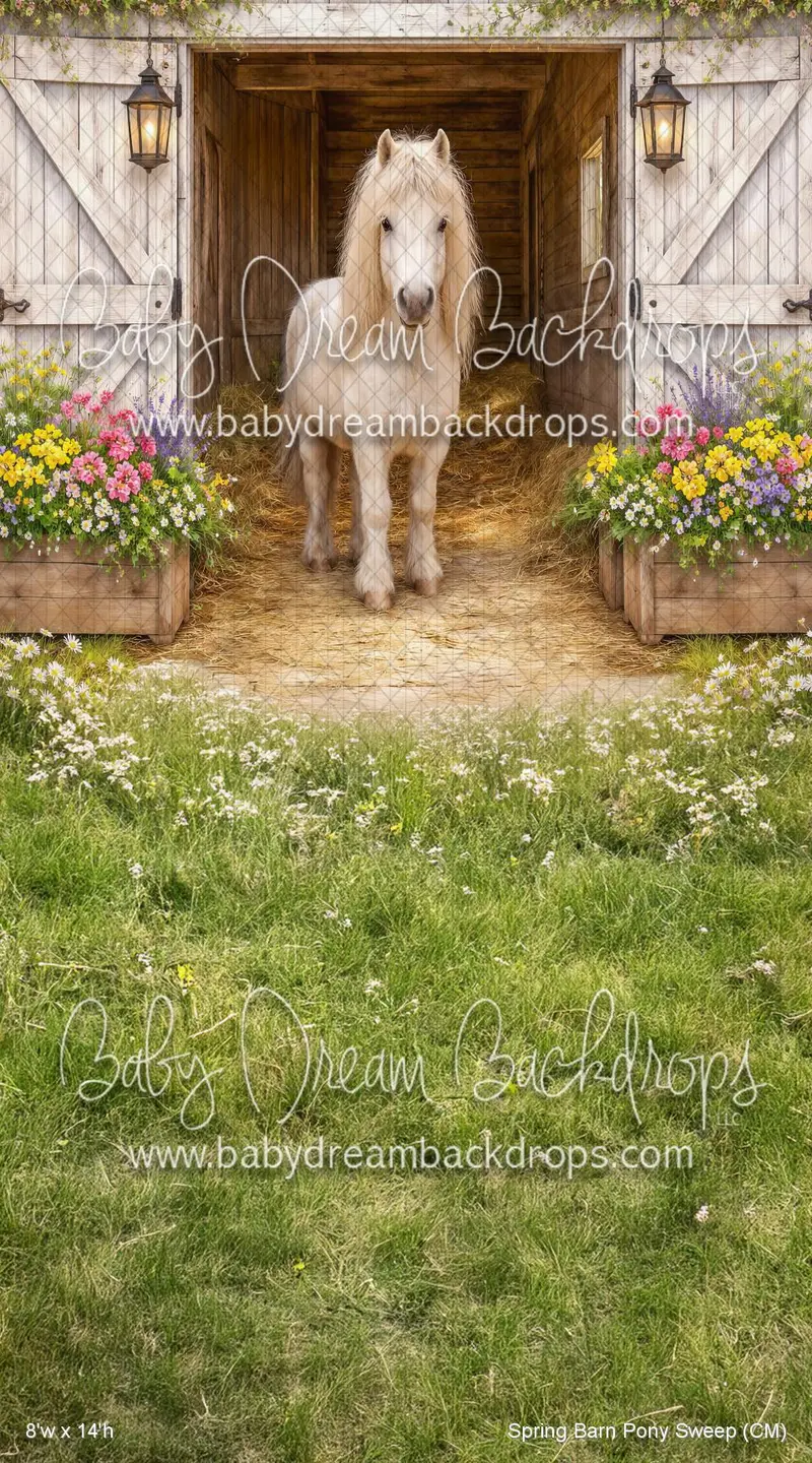 Spring Barn Pony Sweep (Cm) 1