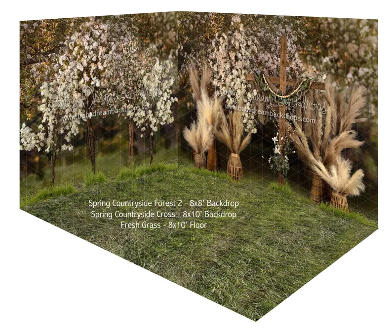 Spring Countryside Forest 2 And Cross Room 1