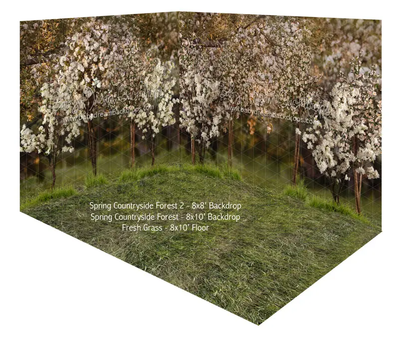 Spring Countryside Forest And Forest 2 Room 1