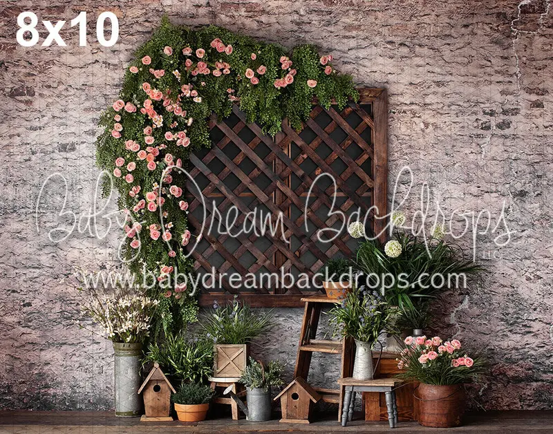 Spring Lattice Window 1