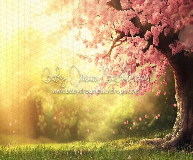 Spring Sunset Meadow (Ja) 1