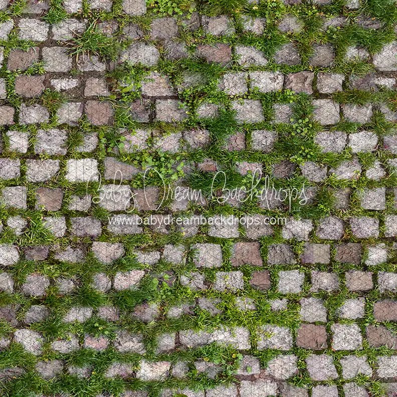 Springtime Stones Floor (Cc) 1