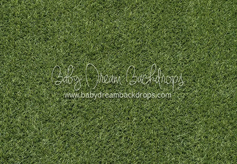Stadium Turf Floor (Cc) 1