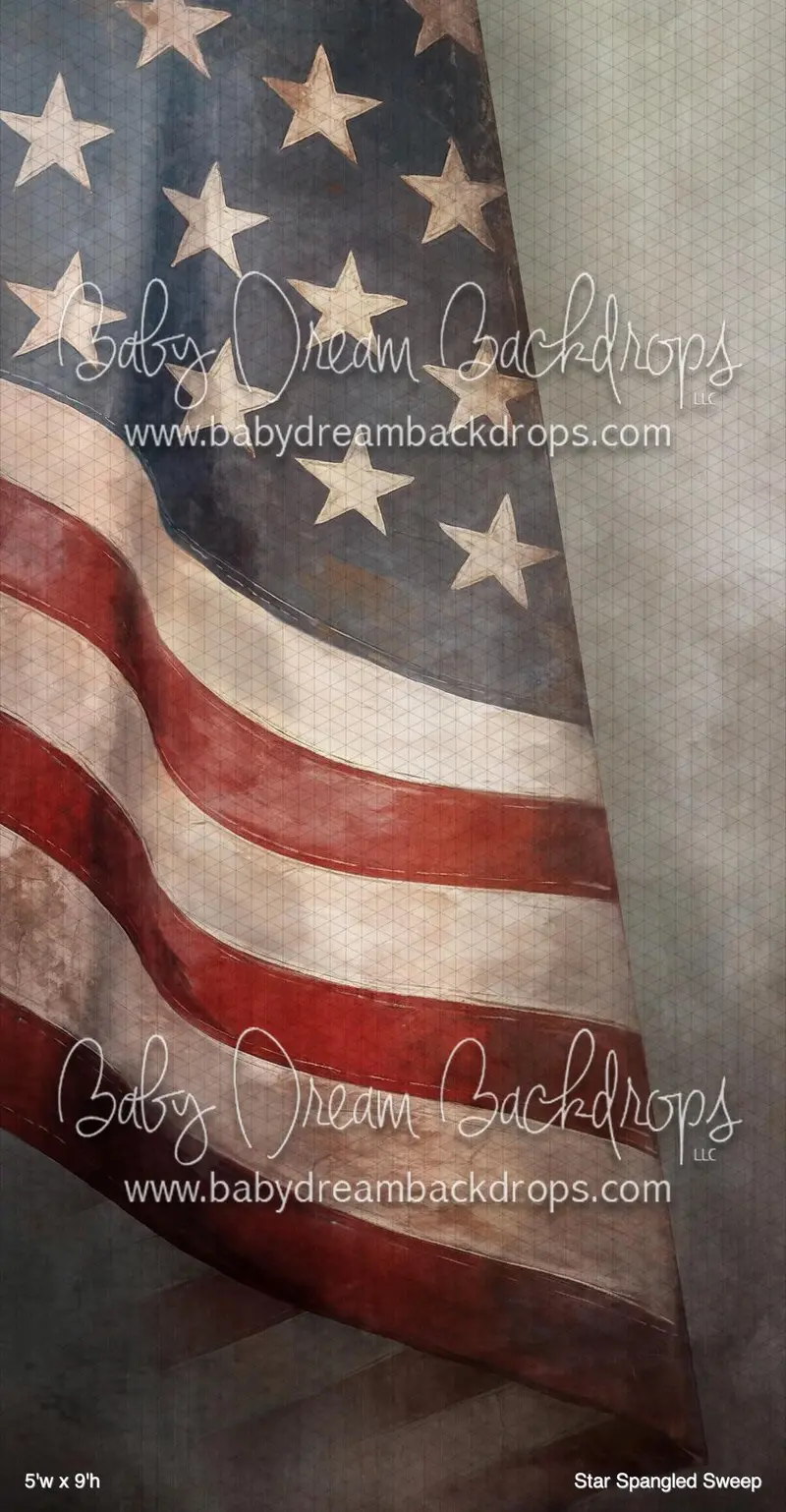 Star Spangled Sweep (Bm) 1