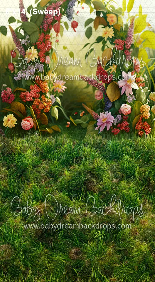 Summer Garden Arch X Drop Sweep Md 1