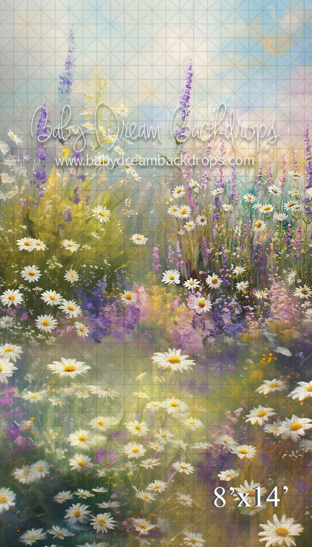 Sweep A Lavender Dream (Vr) 1