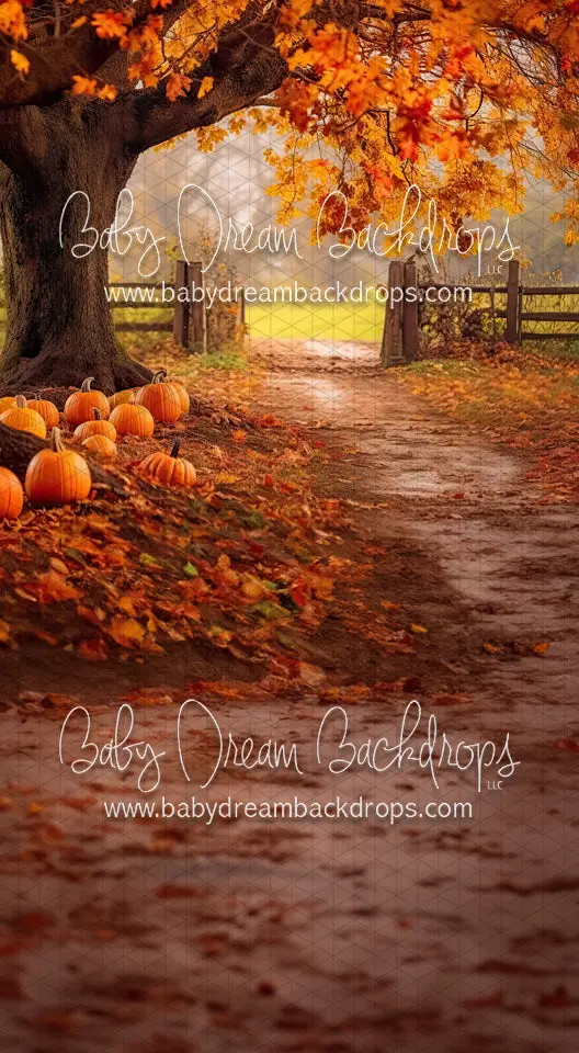 Sweep Under The Autumn Tree (Bd) 1