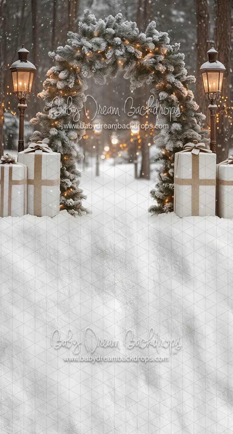 Sweeps Present Path Frosty (Ja) 1