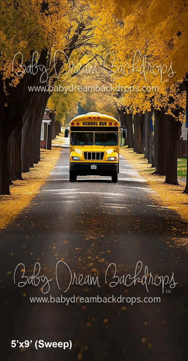 Sweeps School Bus Drive (Az) 1