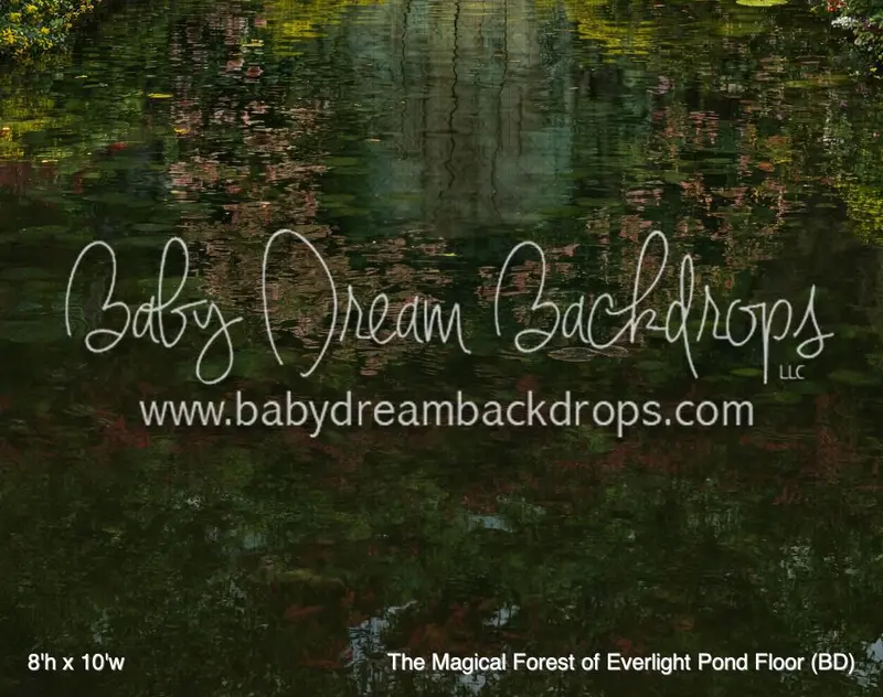 The Magical Forest Of Everlight Pond Floor (Bd) 1