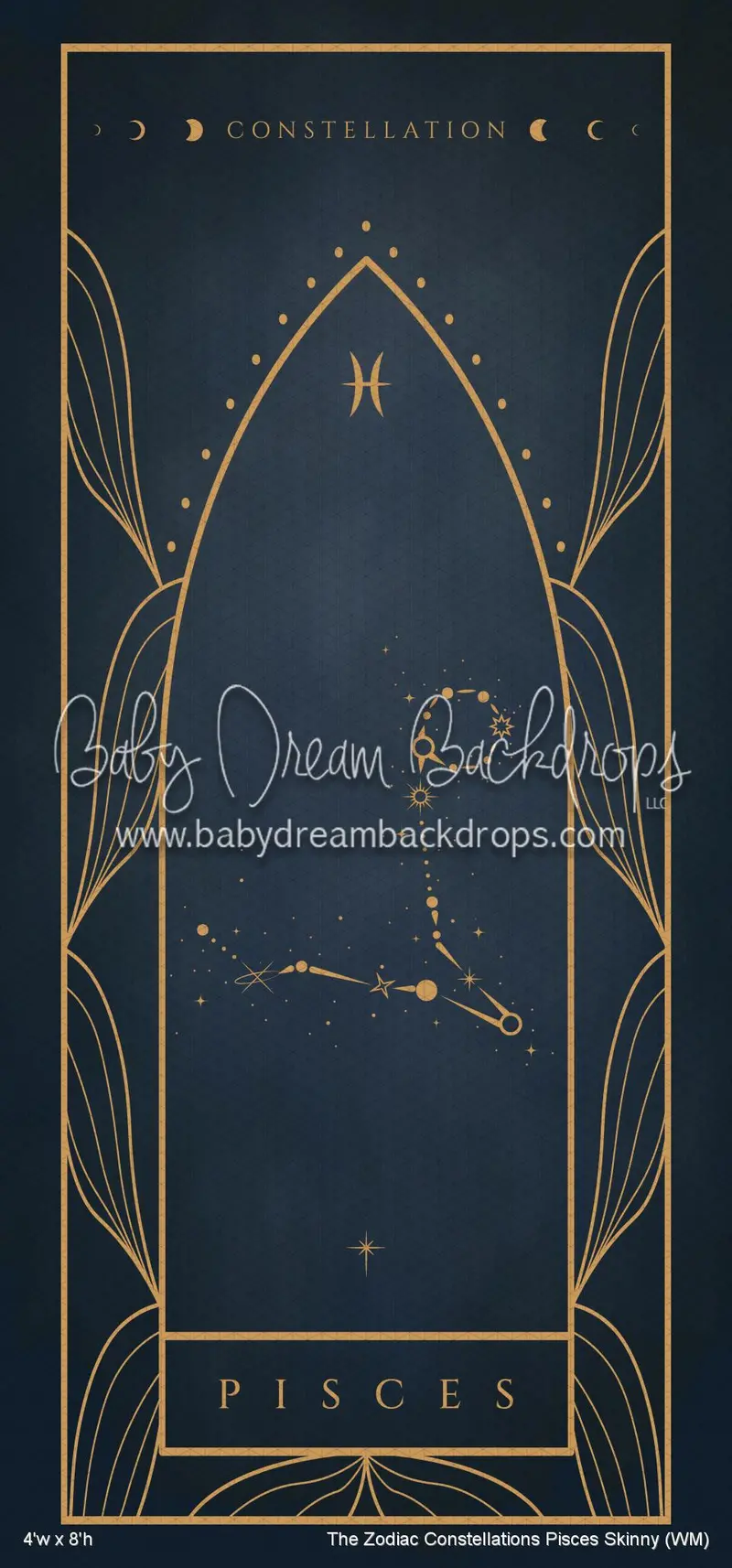 The Zodiac Constellations Pisces Skinny (Wm) 1