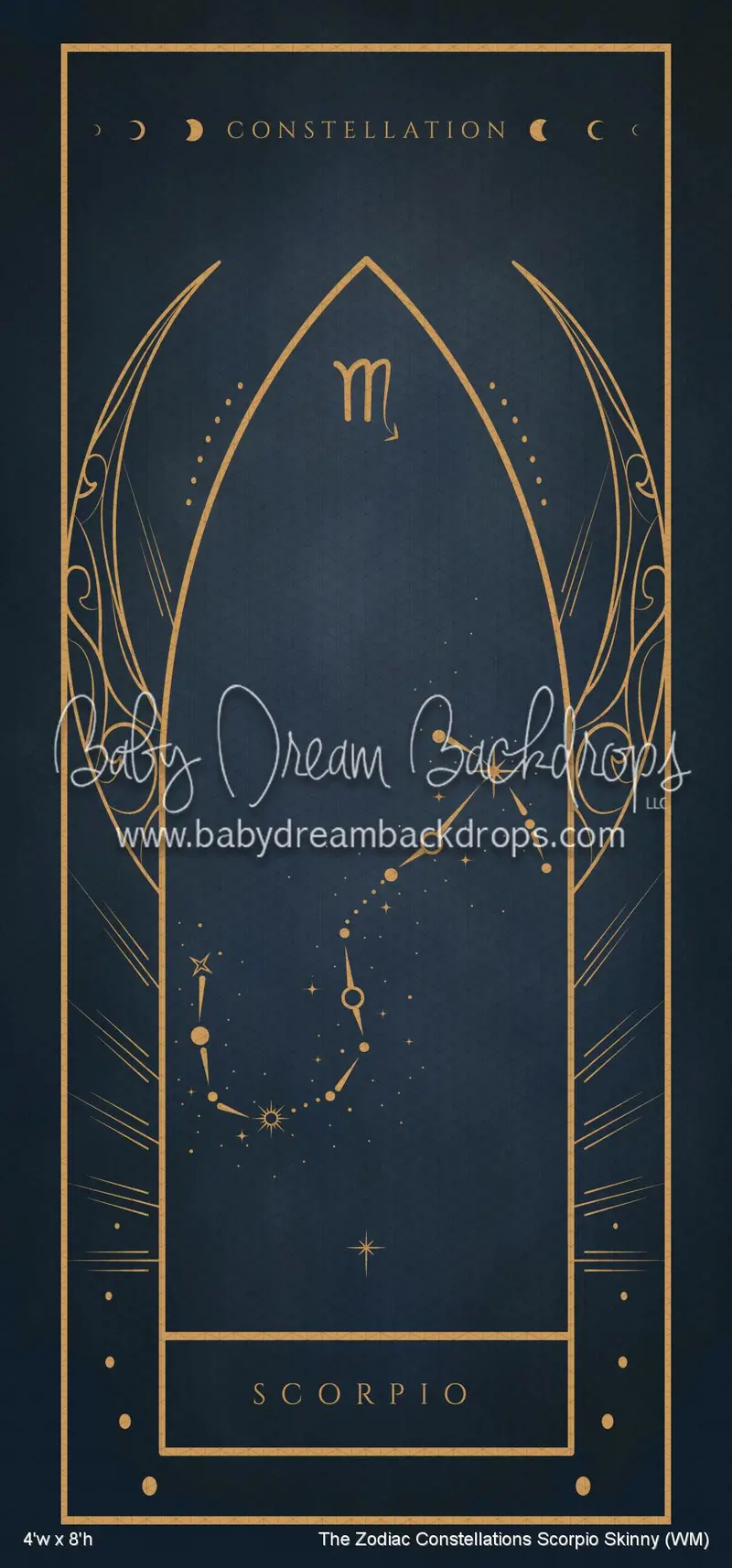 The Zodiac Constellations Scorpio Skinny (Wm) 1