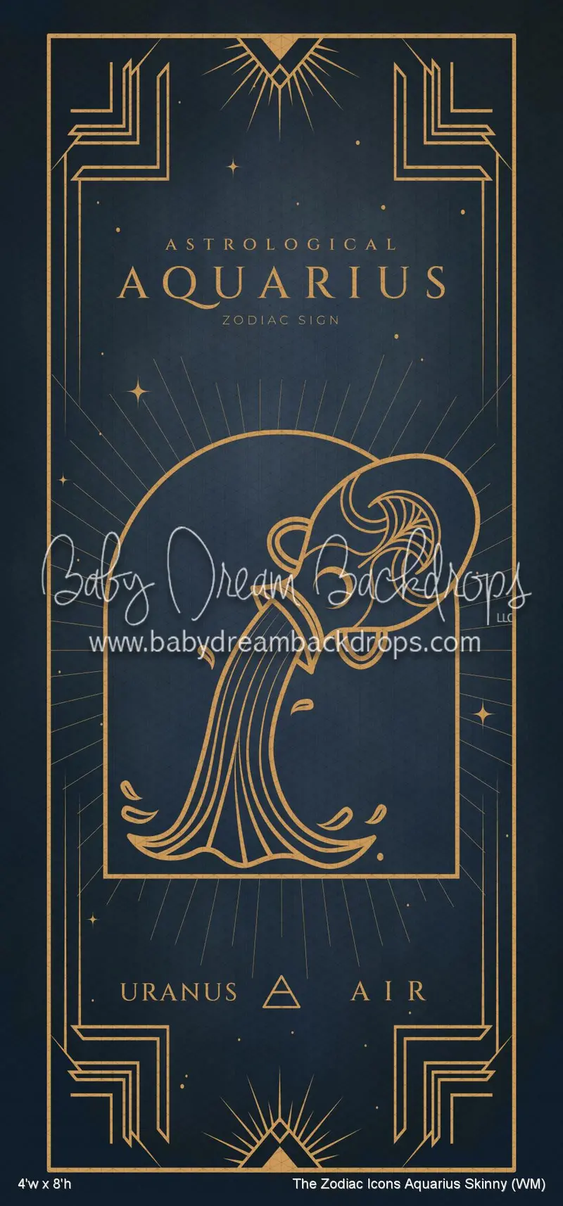 The Zodiac Icons Aquarius Skinny (Wm) 1