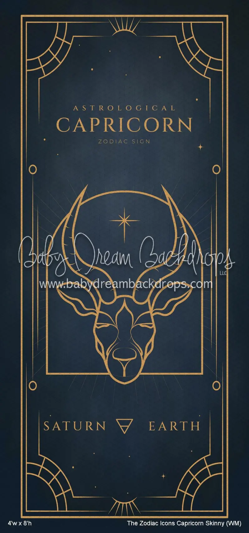 The Zodiac Icons Capricorn Skinny (Wm) 1