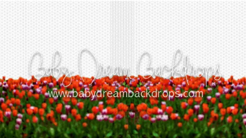 Tulip Row Overlay 1