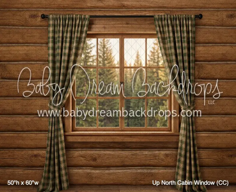 Up North Cabin Window (Cc) 1