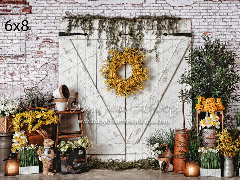 Urban Spring Shed 1