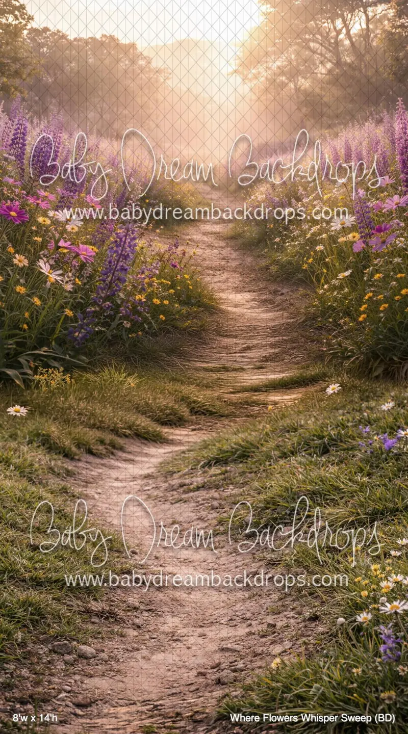 Where Flowers Whisper Sweep (Bd) 1