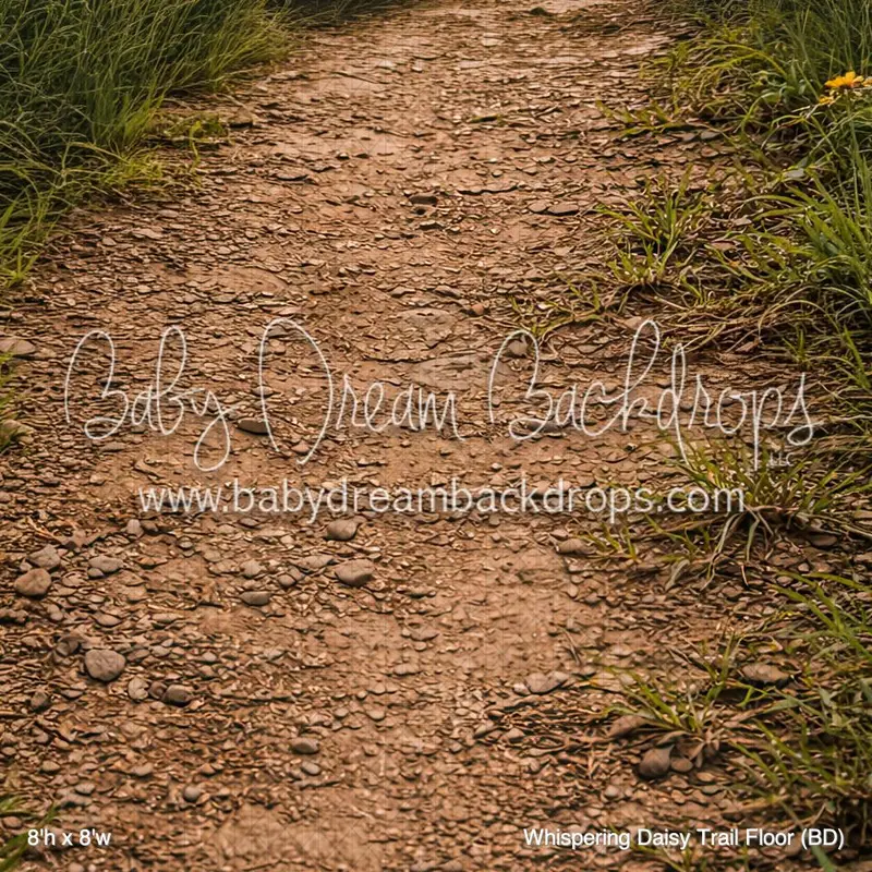 Whispering Daisy Trail Floor (Bd) 1