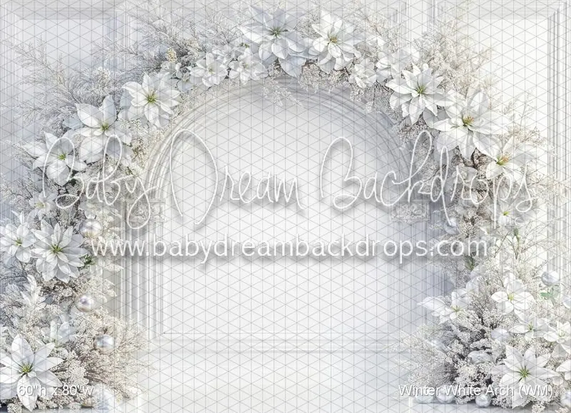 Winter White Arch (Wm) 1