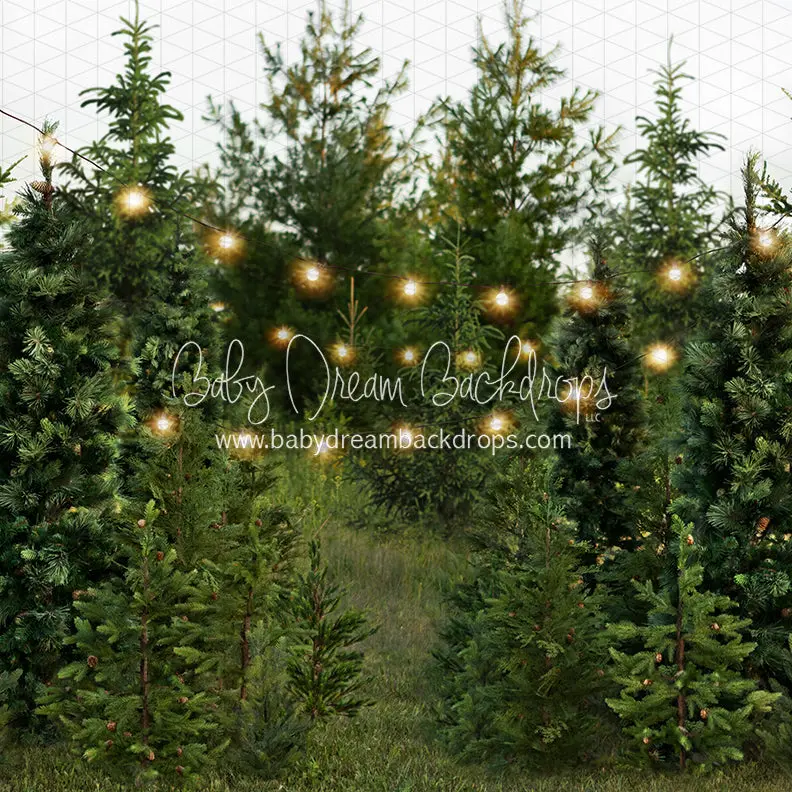 X Drop Backyard Tree Farm String Lights 1