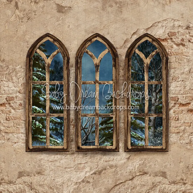 X Drop Boho Holiday Windows 1