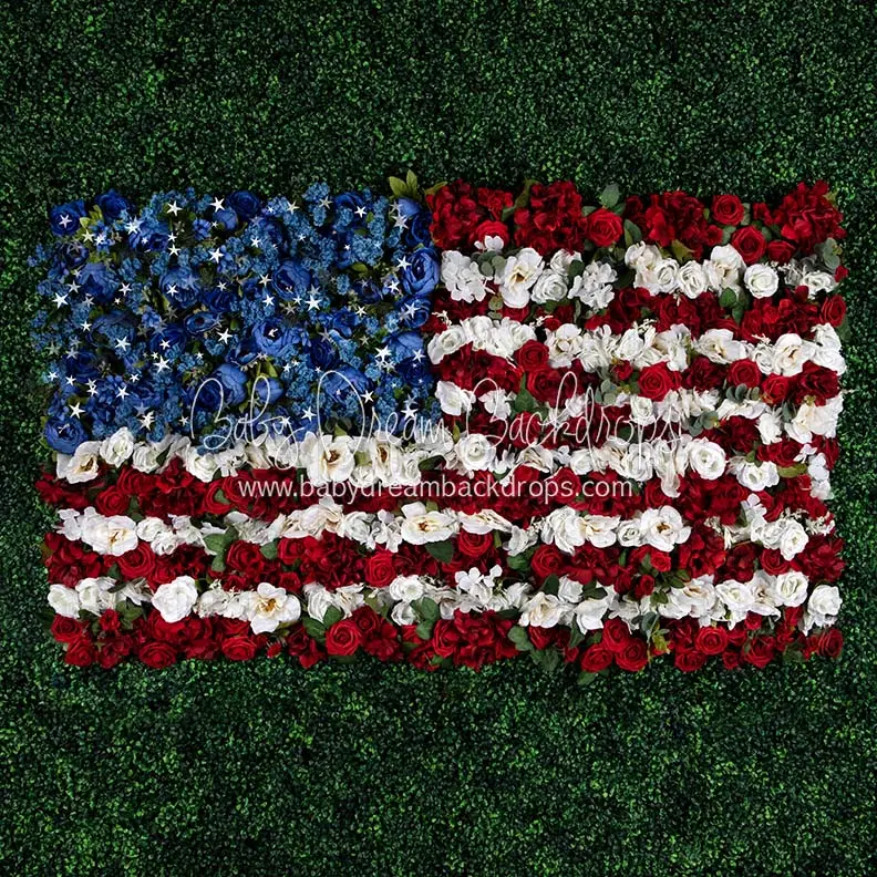 X Drop Boxwood Beauty Usa Stars 1