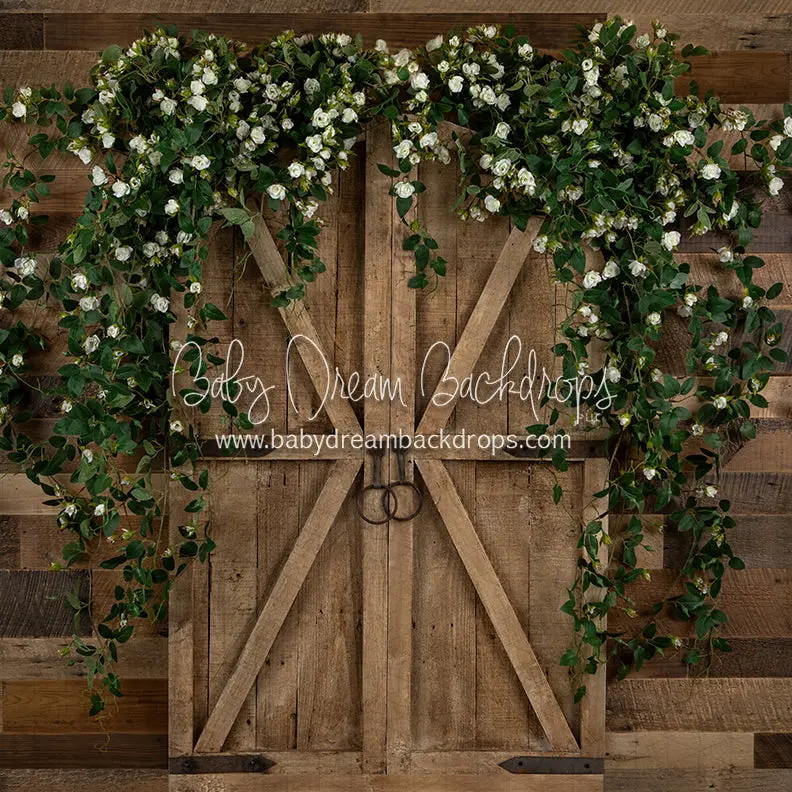 X Drop Country Dreamer Doorway 1