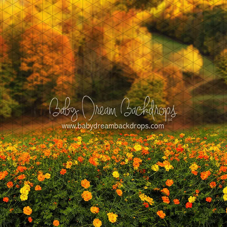 X Drop Fall Floral Field (Cc) 1