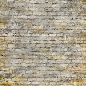 X Drop Forgotten Wall 2 1