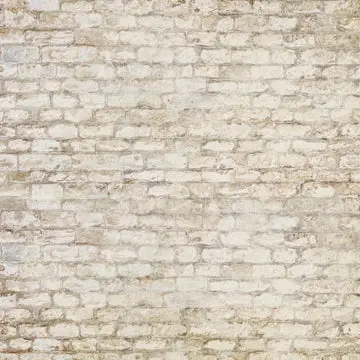 X Drop Forgotten Wall 3 1