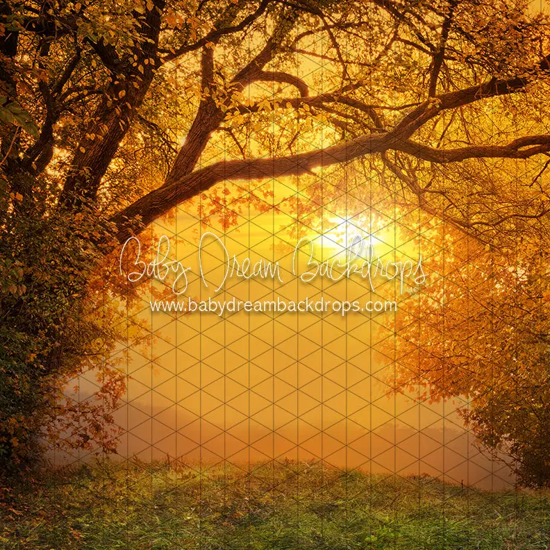X Drop Golden Fall Sunset (Cc) 1
