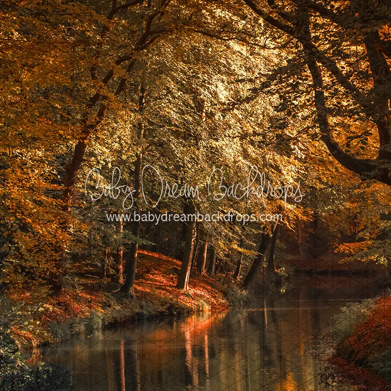 X Drop On The Autumn Pond (Cc) 1