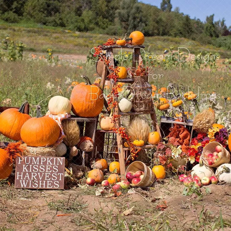 X Drop Pumpkin Ladder 1