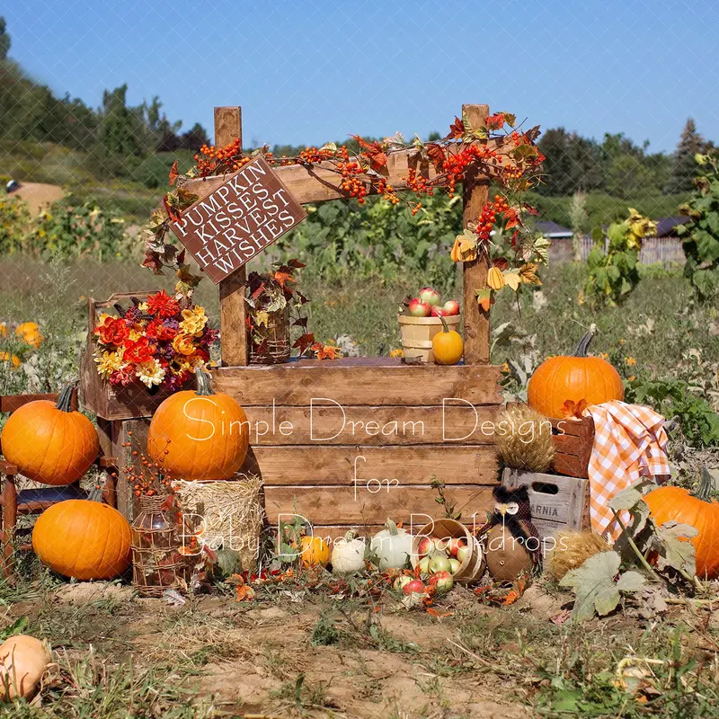 X Drop Pumpkin Patch 1