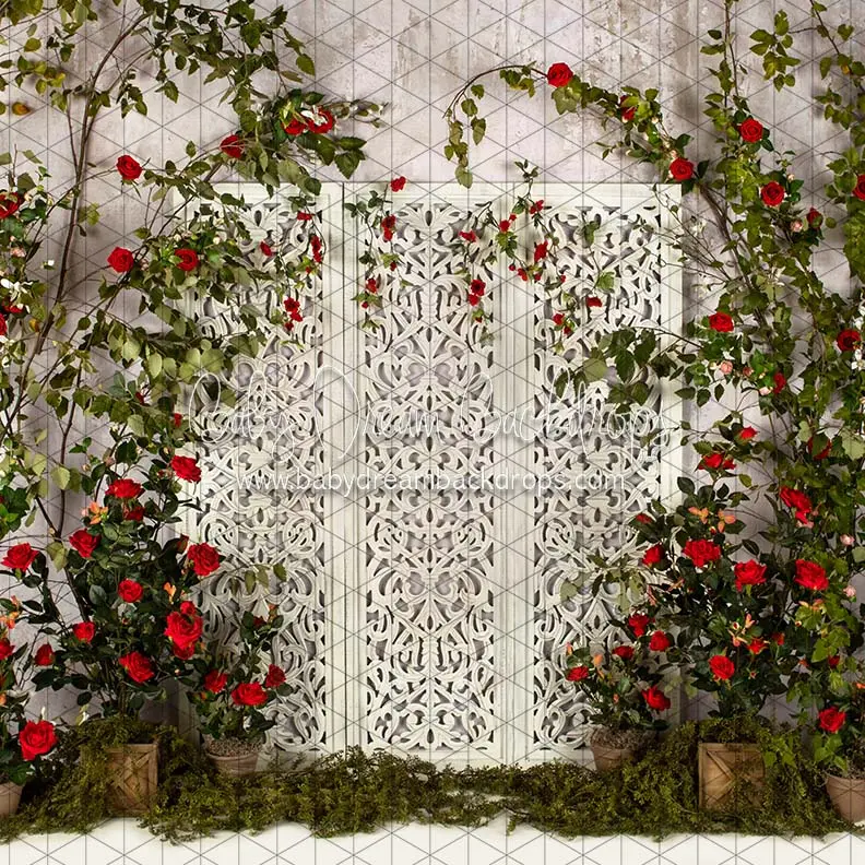 X Drop Romance Garden Screen 1