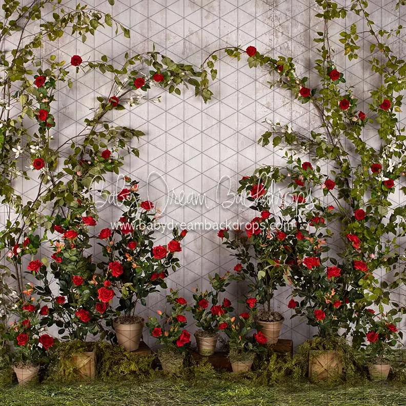 X Drop Romance Garden Wall Grass 1