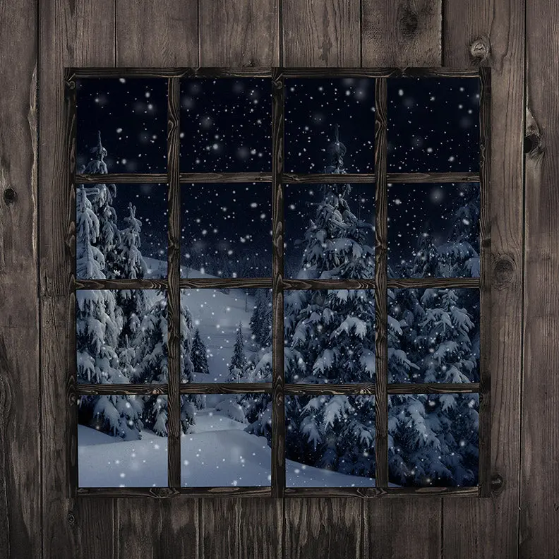 X Drop Snowy Evening View 1