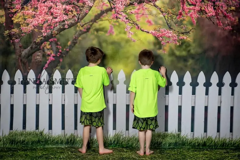 X Drop Spring Picket Fence 1