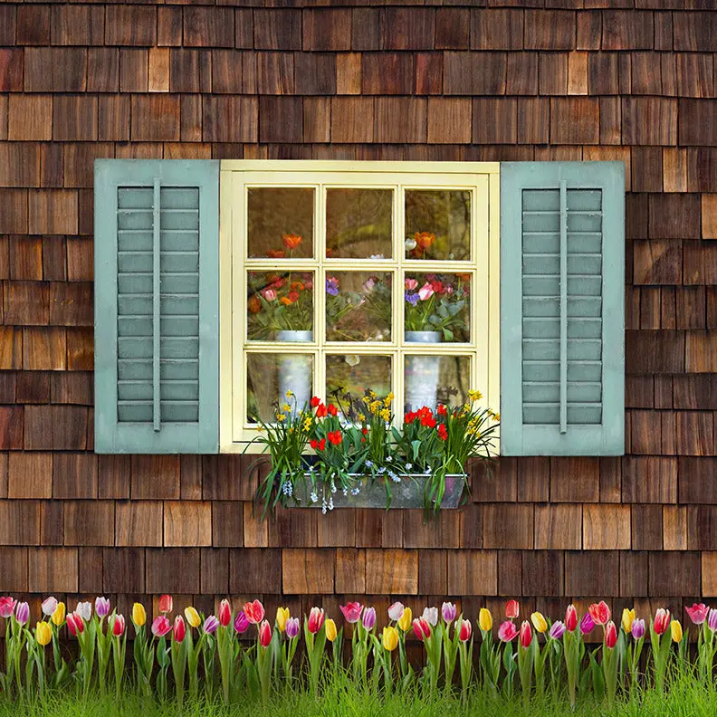 X Drop Spring View Blue Shutters With Tulips 1
