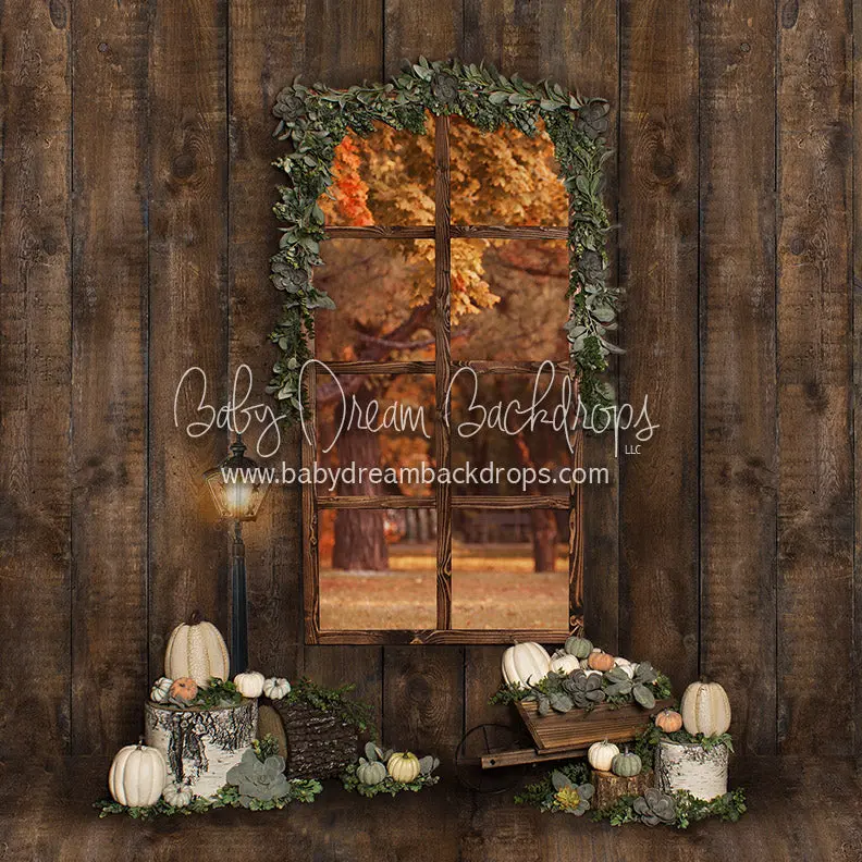 X Drop Succulent Autumn Window 1