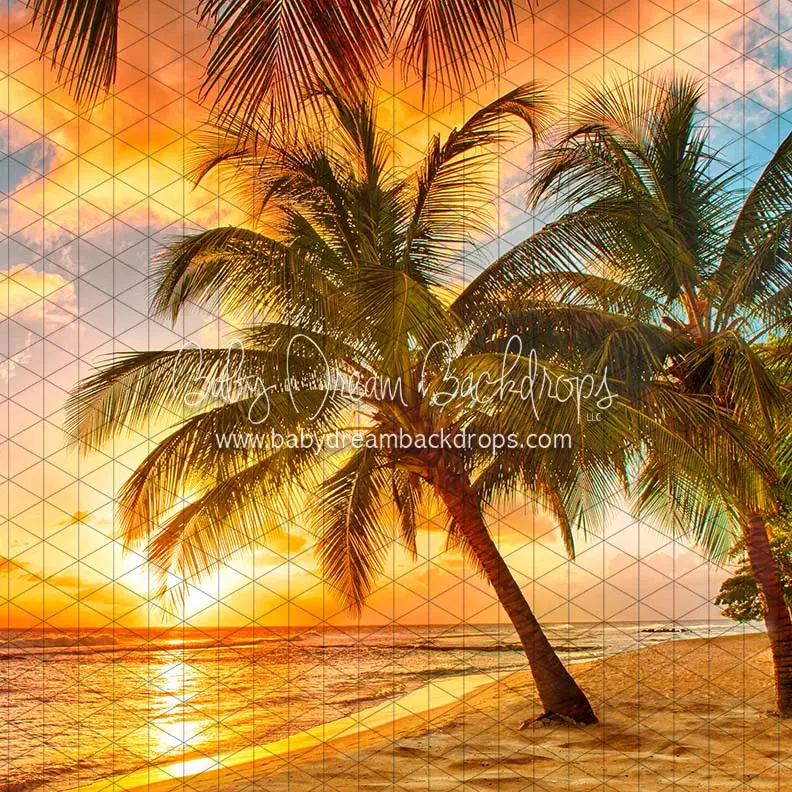 X Drop Sunset Dreams Beach Cc 1