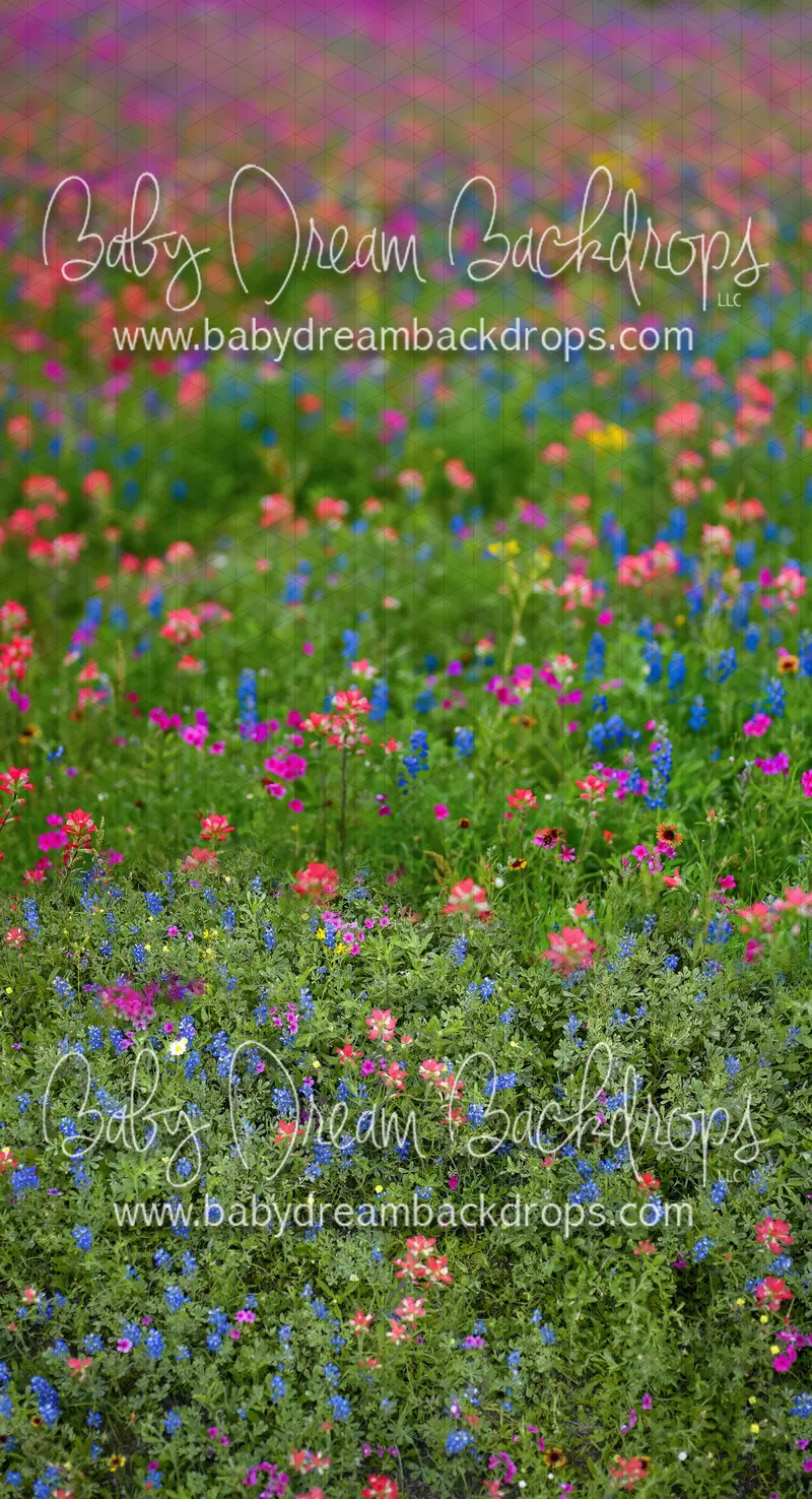 X Drop Sweeps Chasing Wildflowers 3 (Bd) 1