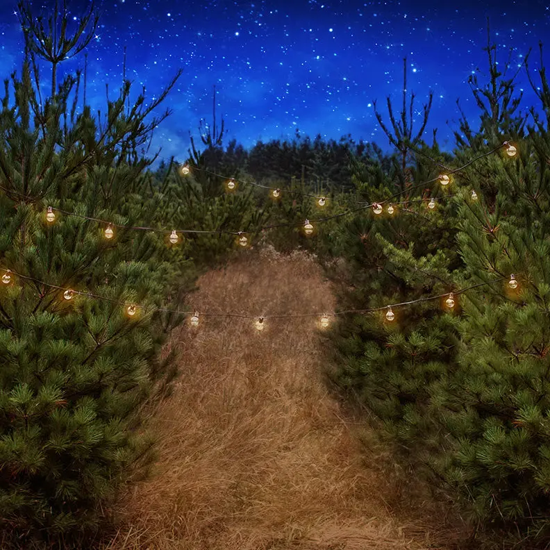 X Drop Twilight Tree Farm 1