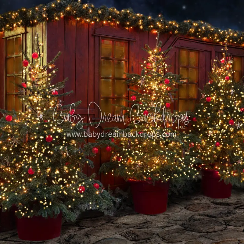 X Drop Twinkle Tree Alley 1