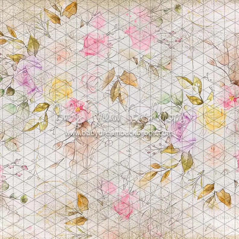 X Drop Vintage Spring Sketch 1